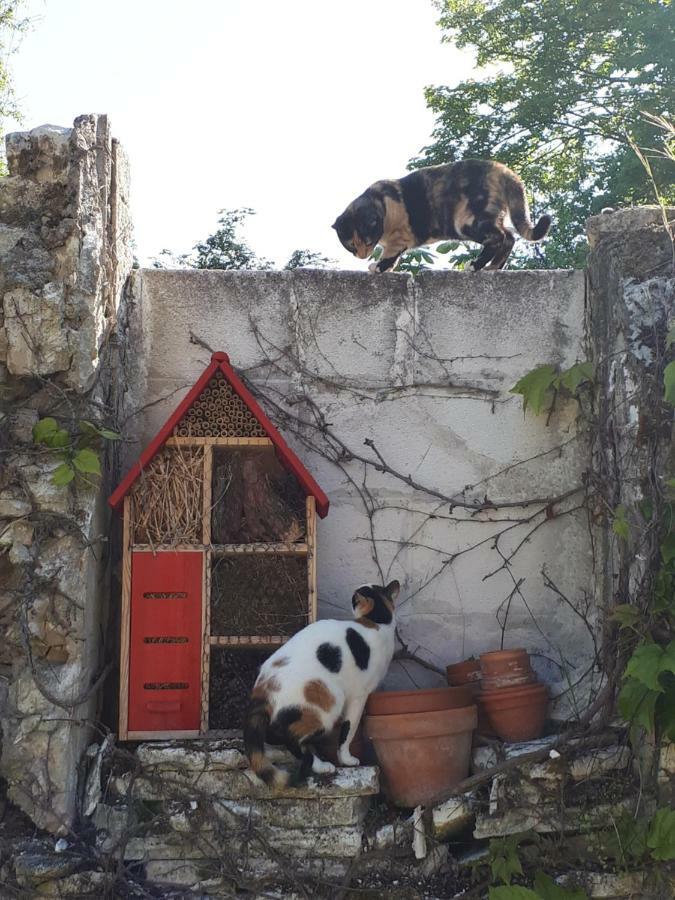 Au Chat Perche Mareil-sur-Mauldre 外观 照片
